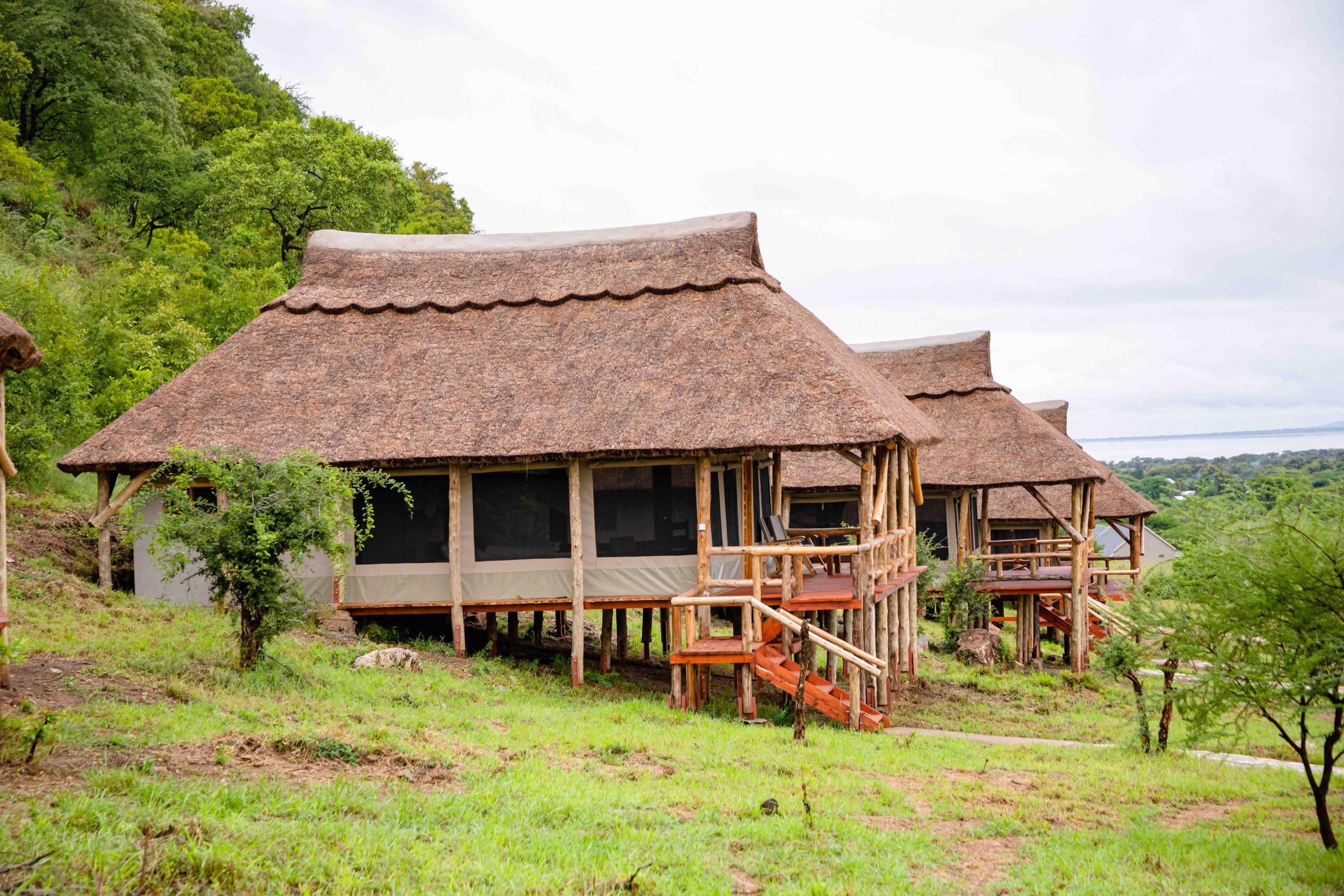 Sangaiwe Mbuyu 272 scaled 1