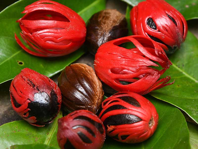 kMF18f4PrP9BNEgycJwB96aVSoBfxNgKEr6iJWTO