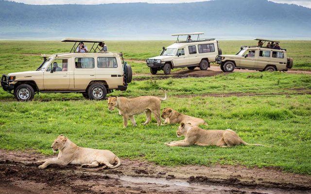 Ngorongoro Crater