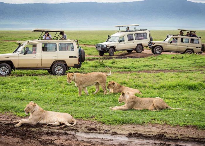 Ngorongoro Crater, Tanzania Standard Safari